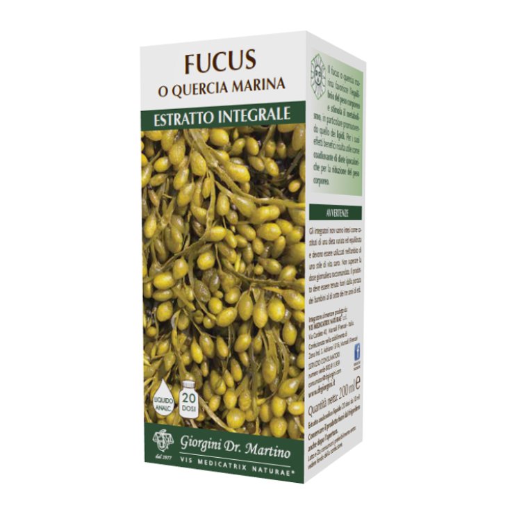 FUCUS O QUERCIA MARINA ESTR INTE FUCUS O QUERCIA MARINA ESTR INTE