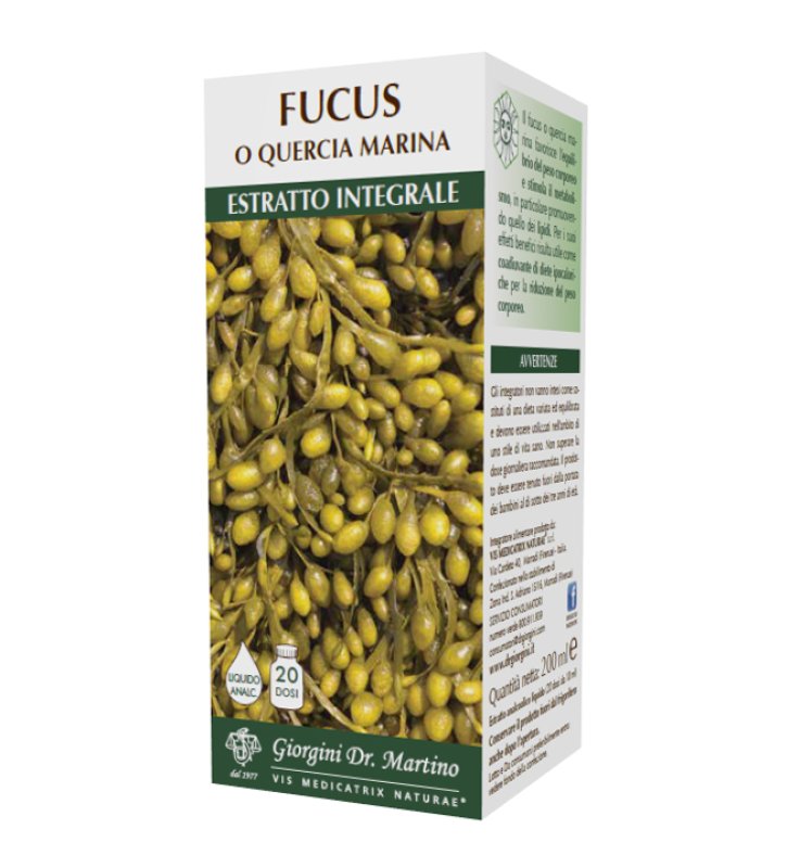 FUCUS O QUERCIA MARINA ESTR INTE FUCUS O QUERCIA MARINA ESTR INTE