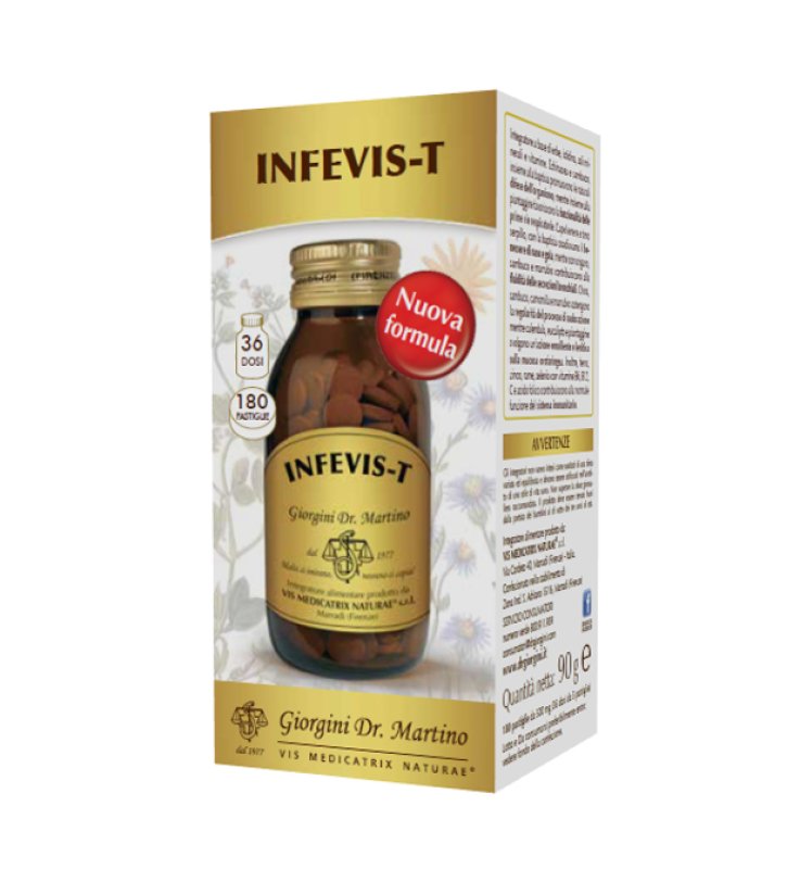 INFEVIS-T 180 Past.