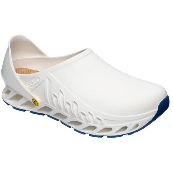 EVOFLEX UNISEX BIA 40 F293781065 EVOFLEX UNISEX BIA 40 F293781065