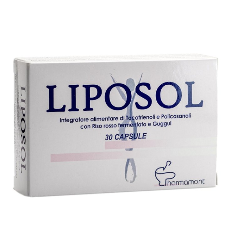 LIPOSOL 30 CAPSULE