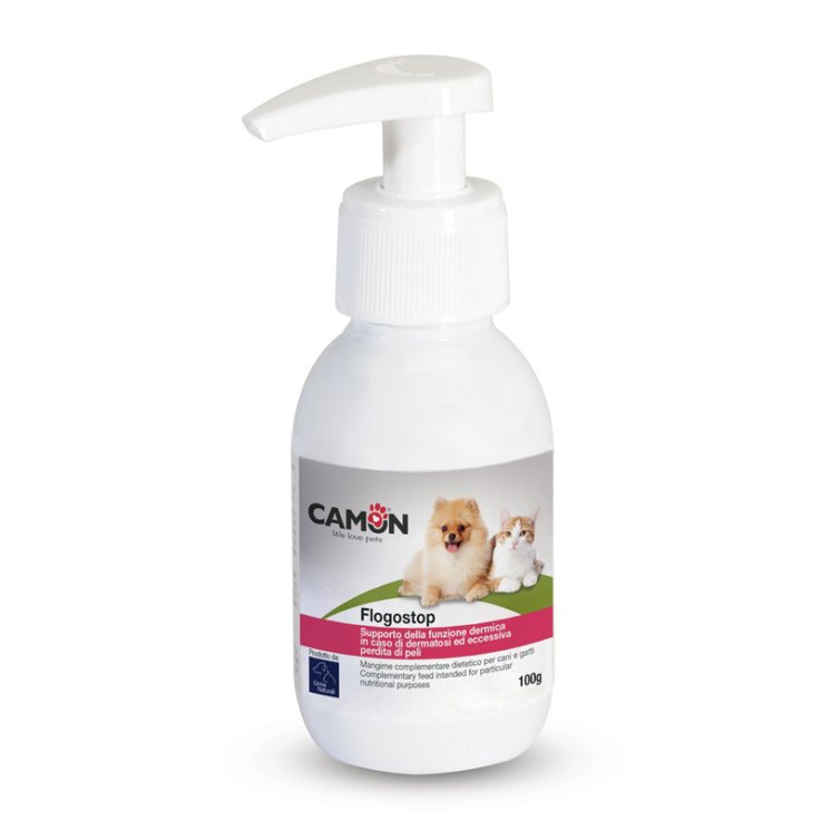 V FLOGOSTOP PASTA C/DOSAT CA/GA( V FLOGOSTOP PASTA C/DOSAT CA/GA(