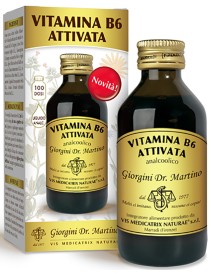 VITAMINA B 6 Att.Liq.100ml SVS