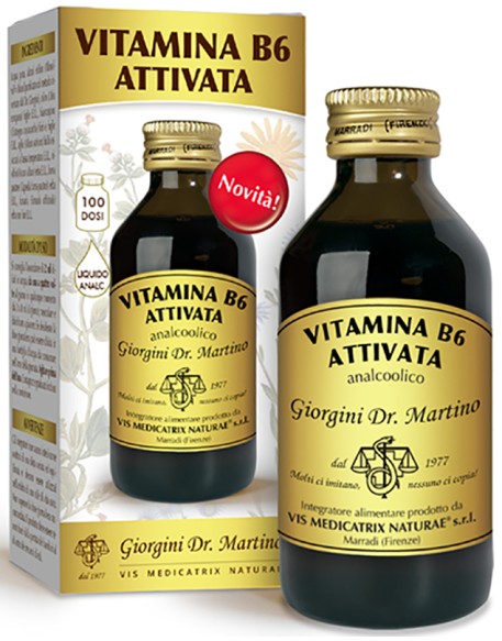 VITAMINA B 6 Att.Liq.100ml SVS