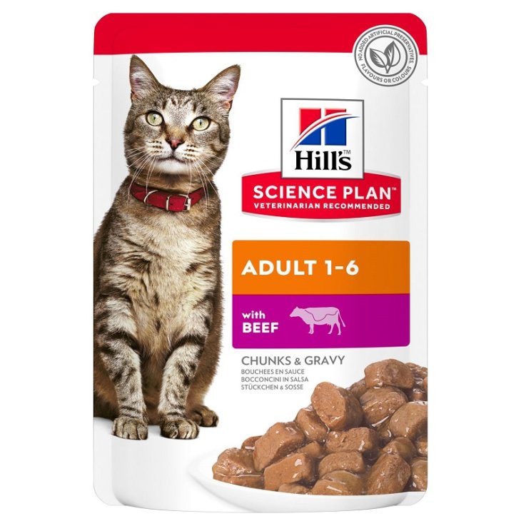 V HILLS CAT ADULT BOCC.85GR MANZ V HILLS CAT ADULT BOCC.85GR MANZ