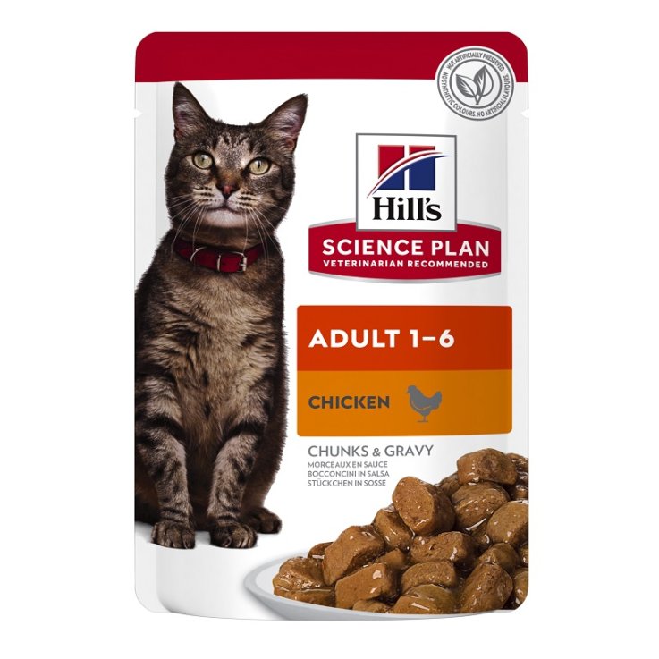 V HILLS SP CAT ADULT BOCC.85G R V HILLS SP CAT ADULT BOCC.85G R