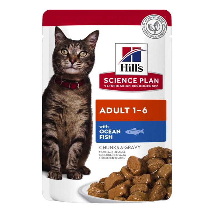 V HILLS CAT ADULT BOCC.85G R PES V HILLS CAT ADULT BOCC.85G R PES