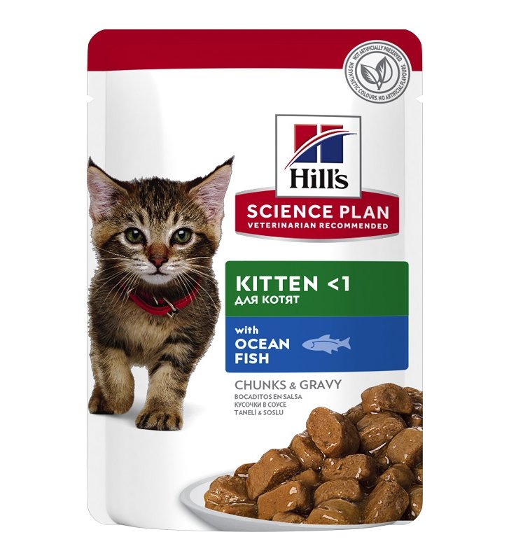 V HILLS SP CAT KIT OCEAN FISH  8