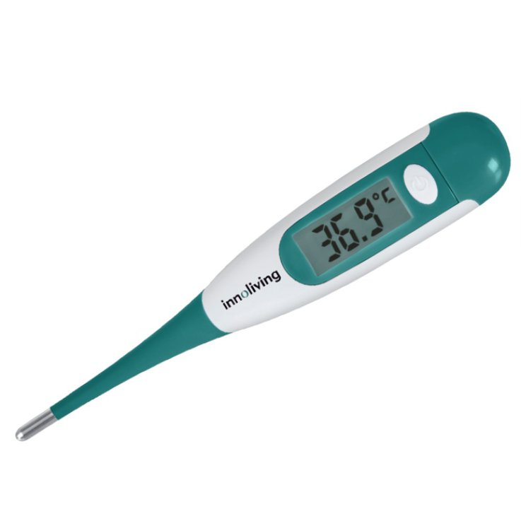 TERMOMETRO DIGITALE SONDA FLES TERMOMETRO DIGITALE SONDA FLES
