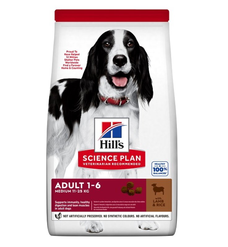 V SP CANINE AD MEDIUM LAMB 12KG