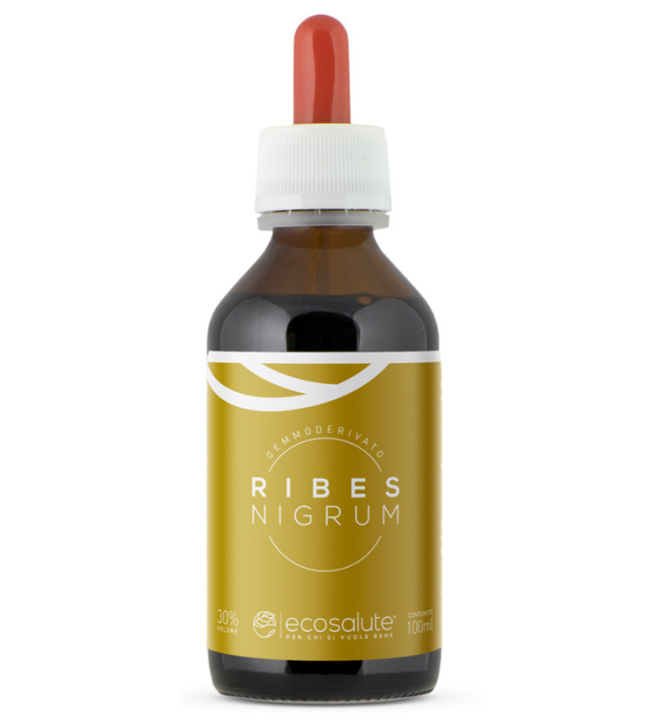 RIBES NIGRUM MG GTT 100ML