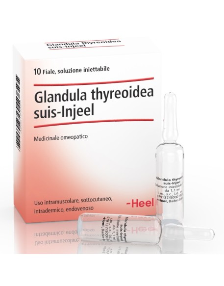 HEEL GLANDULA THYROIDEA SUIS INJEEL 10 FIALE