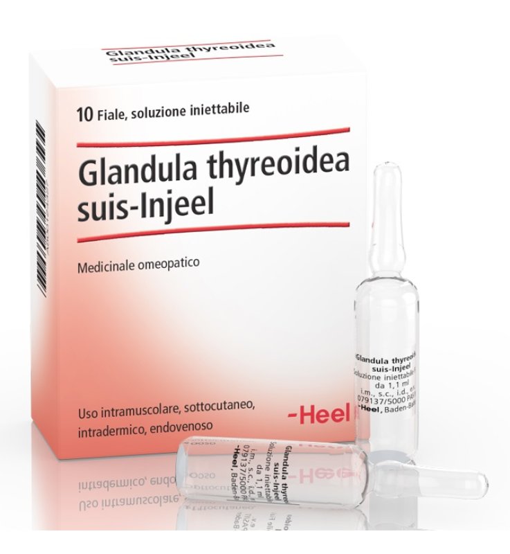 Heel Glandula thyreoidea suis-Injeel - 10 fiale Heel Glandula thyreoidea suis-Injeel - 10 fiale