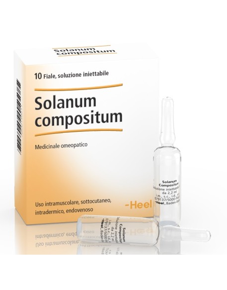 SOLANUM COMP 10FL HEEL