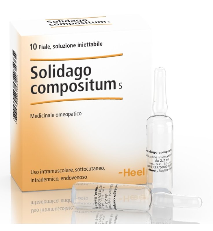 HEEL SOLIDAGO COMPOSITUM 10 FIALE DA 2,2 ML L'UNA