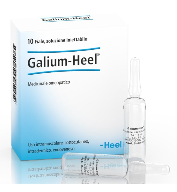 HEEL GALIUM 10 FIALE DA 1,1 ML L'UNA HEEL GALIUM 10 FIALE DA 1,1 ML L'UNA