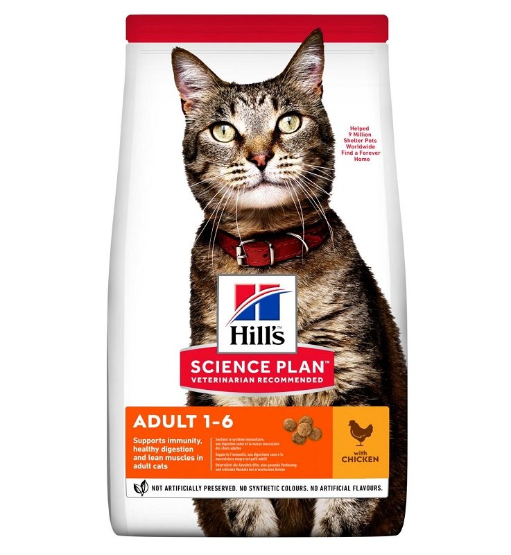 V HILLS SP CAT AD CKN 7KG POLLO