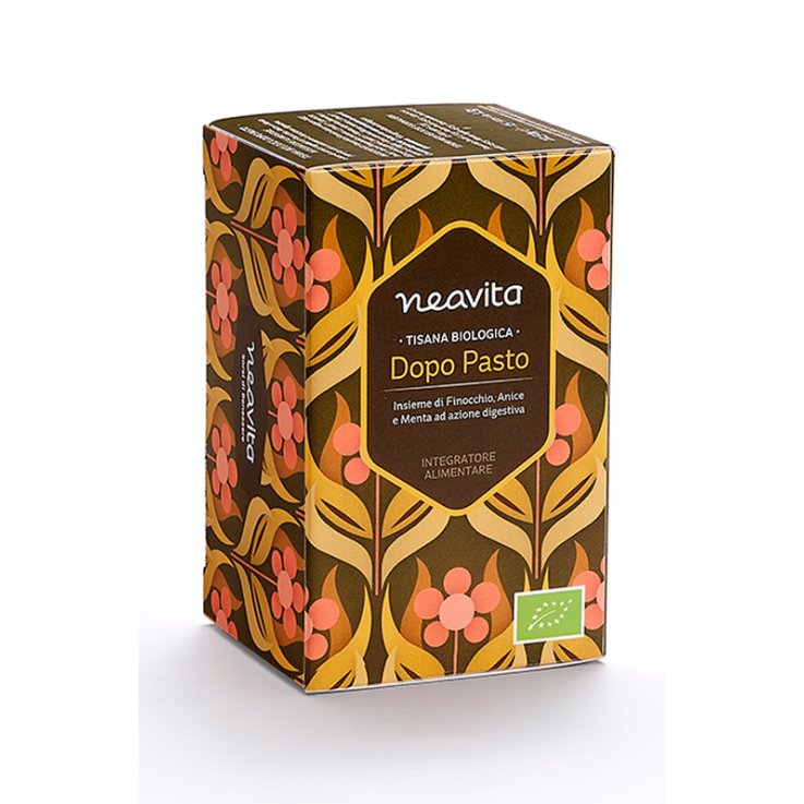 TISANA FILTRO DOPO PASTO BIO TISANA FILTRO DOPO PASTO BIO