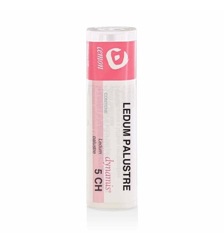 LEDUM  PALUSTRE 5CH GRN CEMON
