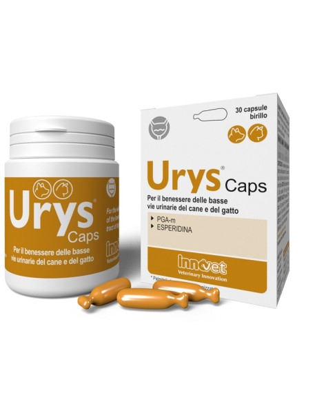 URYS CAPS 30 Cps