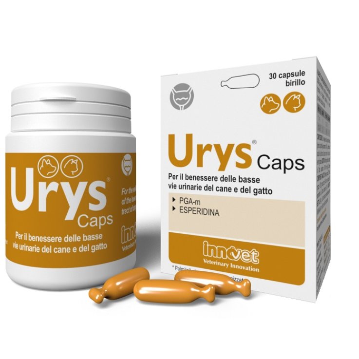 URYS CAPS 30 Cps URYS CAPS 30 Cps