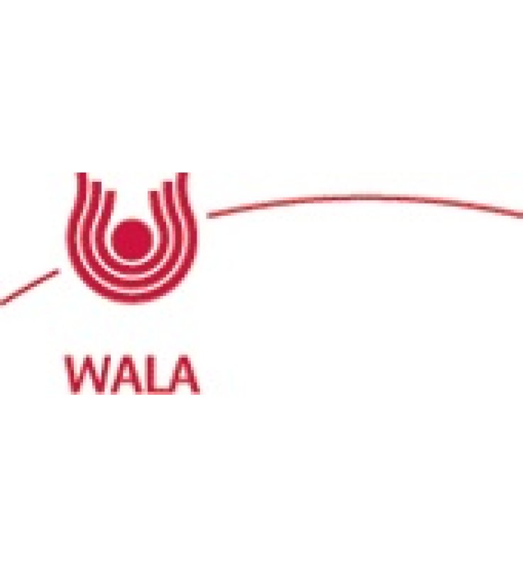 METEOREISEN PHOSPHOR QUARZ 20 G GLOBULI WALA