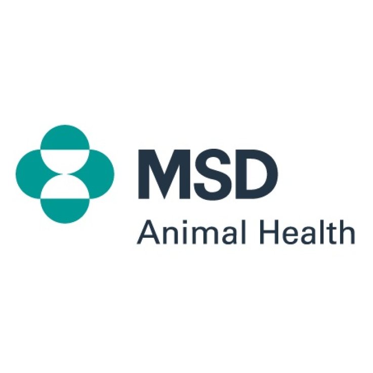 CANINSULIN VET PEN AGHI UNIFINE 1X100 CANINSULIN VET PEN AGHI UNIFINE 1X100