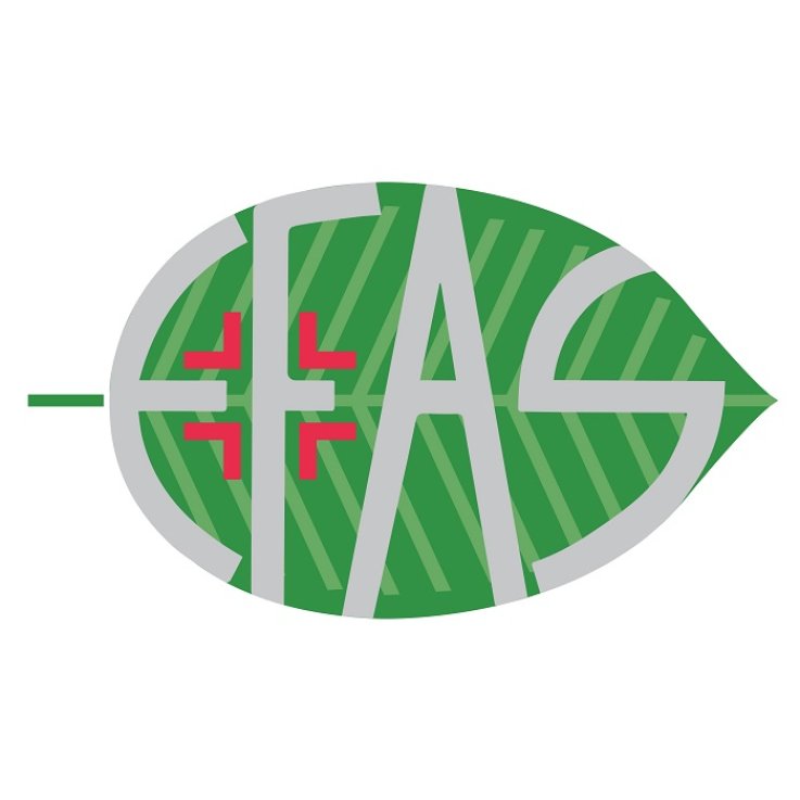 HA100 Acido Ialuronico 30ml HA100 Acido Ialuronico 30ml