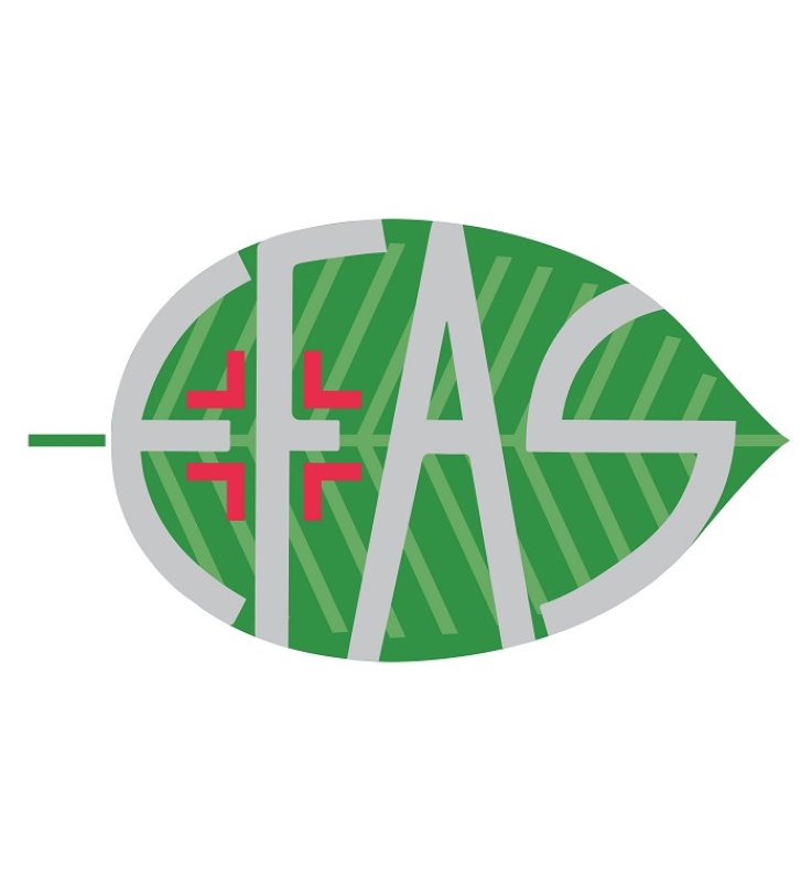 HA100 Acido Ialuronico 30ml HA100 Acido Ialuronico 30ml