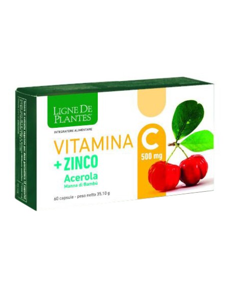 VITAMINA C 500MG+ZI/AC/BA60CPS