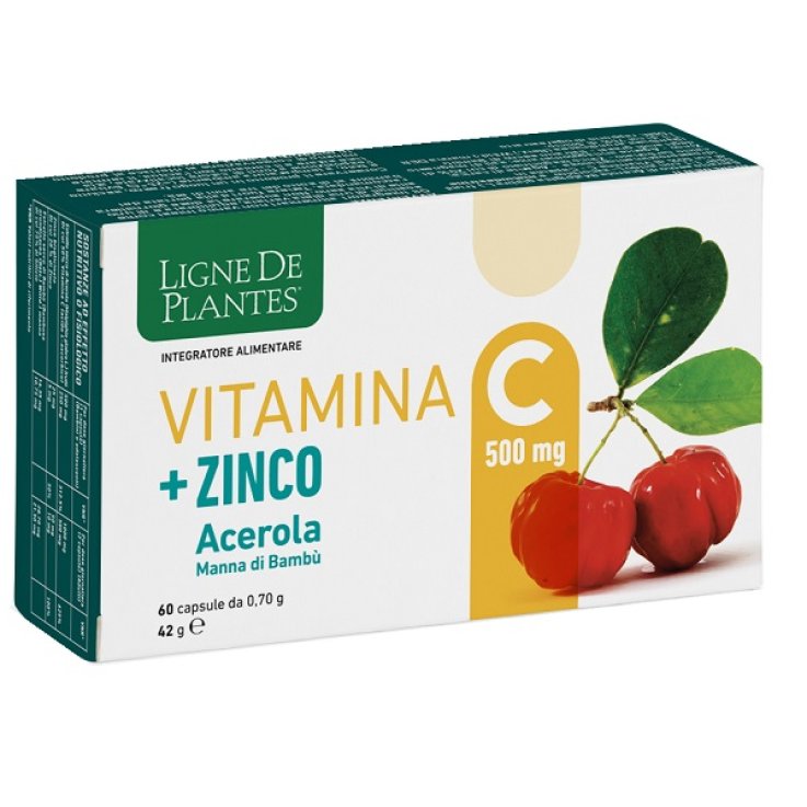 VITAMINA C 500MG+ZI/AC/BA60CPS VITAMINA C 500MG+ZI/AC/BA60CPS