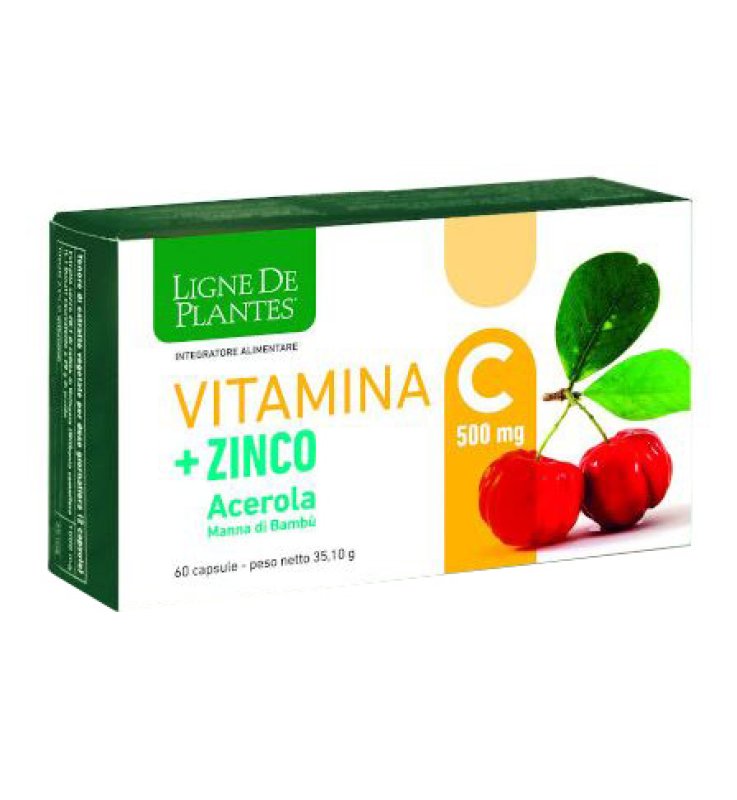 VITAMINA C 500MG+ZI/AC/BA60CPS VITAMINA C 500MG+ZI/AC/BA60CPS