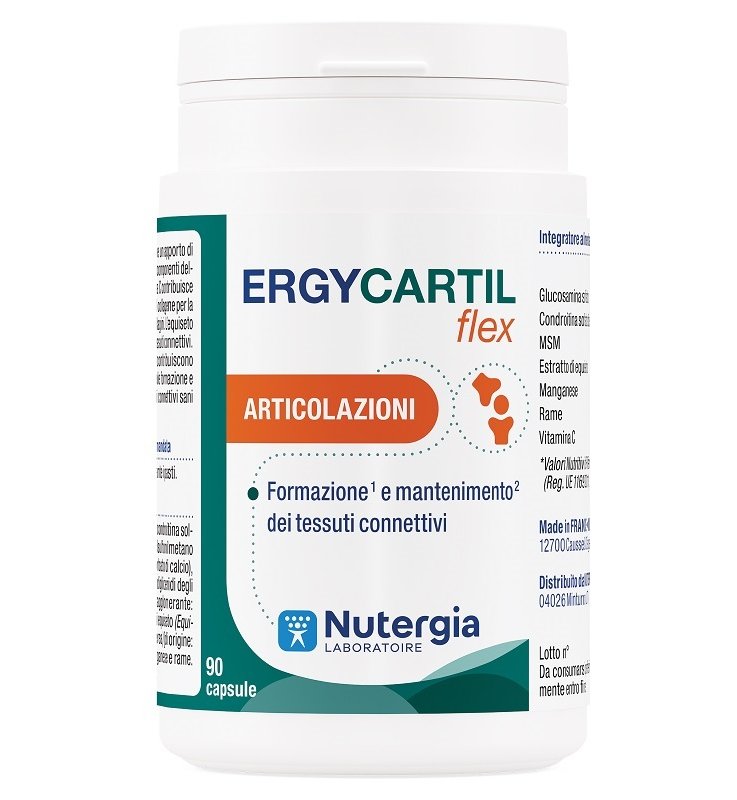 ERGYCARTIL Flex 90 Cps