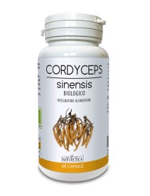 CORDYCEPS SINENSIS 60CPS