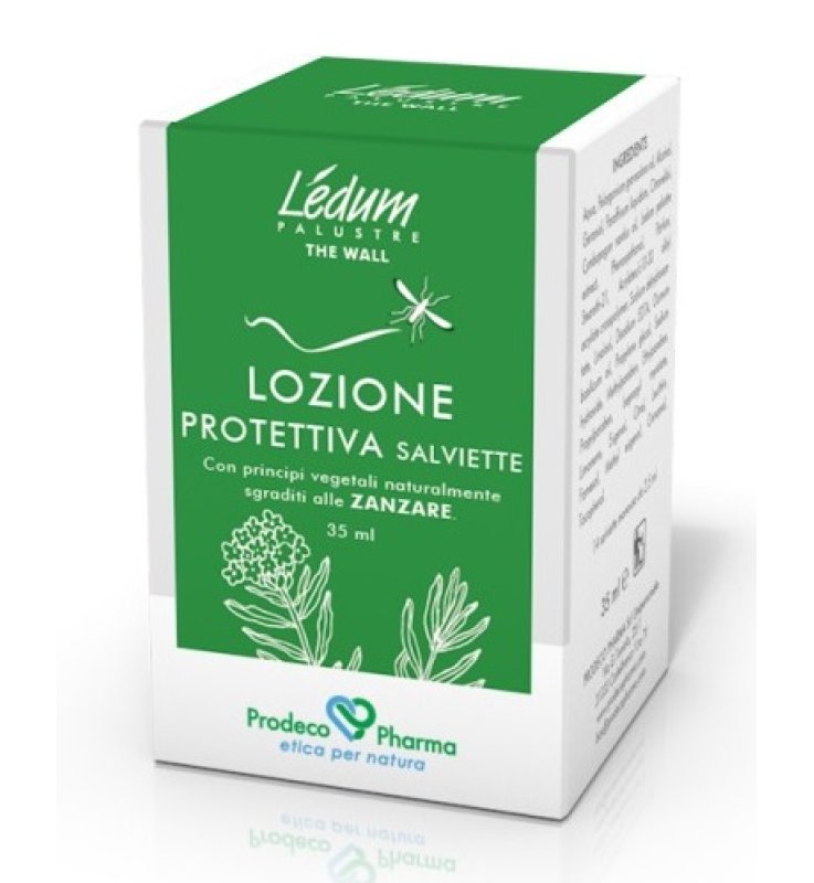 LEDUM PAL.THE WALL A/ZANZ SALVIE