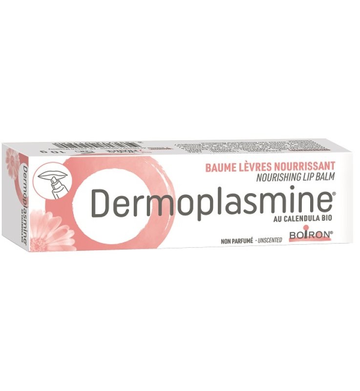 DERMOPLASMINE BALS LABB 10GR DERMOPLASMINE BALS LABB 10GR
