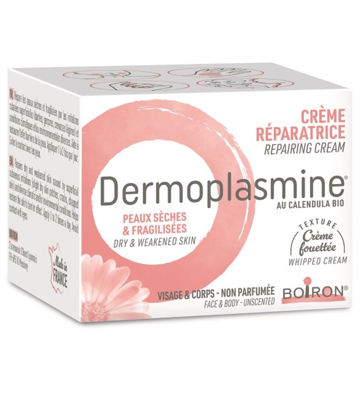 DERMOPLASMINE CR MOUSSE 20G