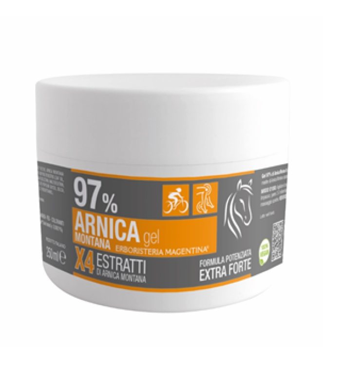 ARNICA 97% GEL 250ML ERB MAGENTI ARNICA 97% GEL 250ML ERB MAGENTI