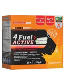 NSP 4FUEL ACTIVE 14BST S/G