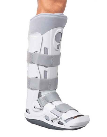 FGP Walker Fisso Eco Smart M FGP Walker Fisso Eco Smart M
