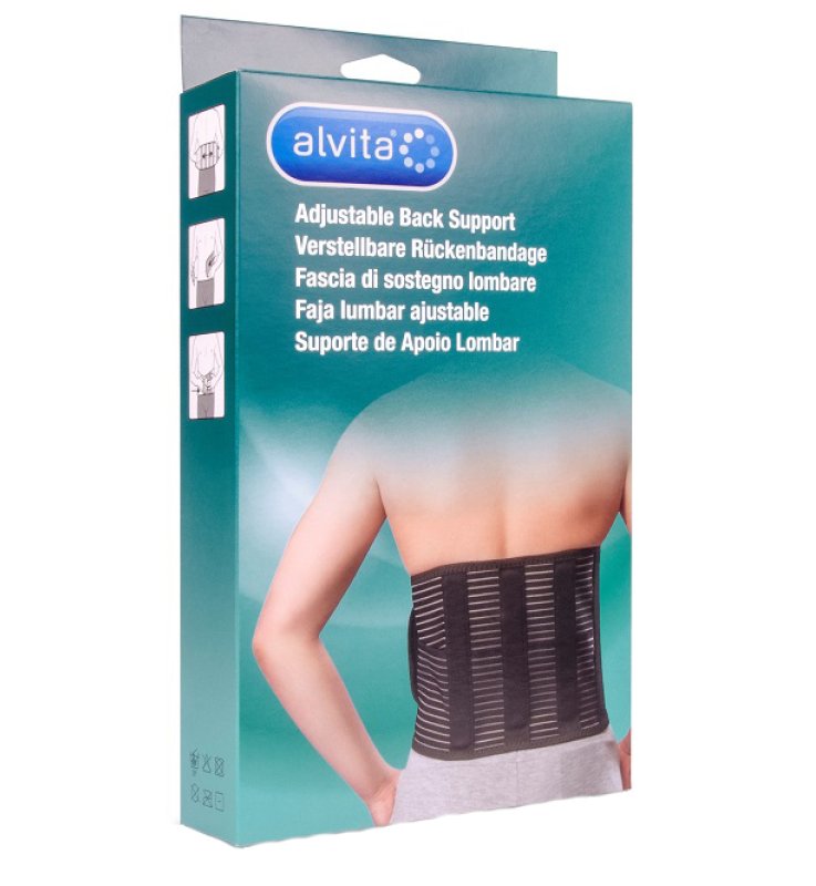 ALVITA FASCIA LOMBARE 2 ALVITA FASCIA LOMBARE 2