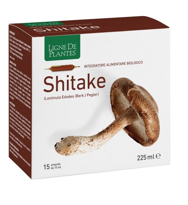 LIGNE SHITAKE BIO 15AMP 15ML