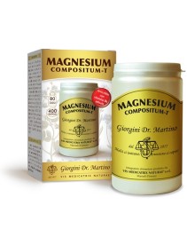 MAGNESIUM Comp-T 400Past.500mg