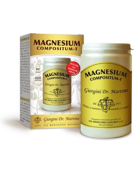 MAGNESIUM Comp-T 400Past.500mg