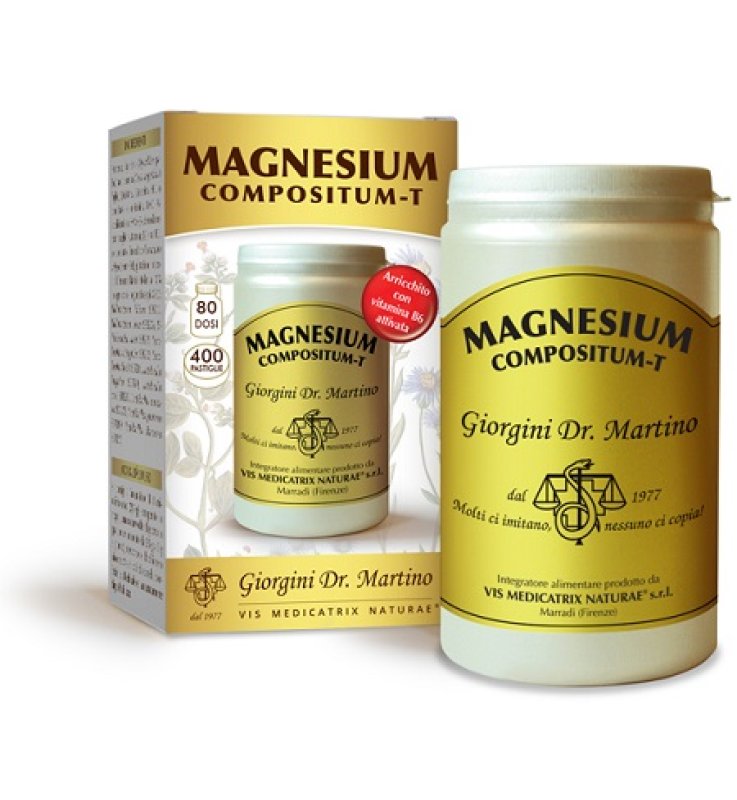 MAGNESIUM Comp-T 400Past.500mg