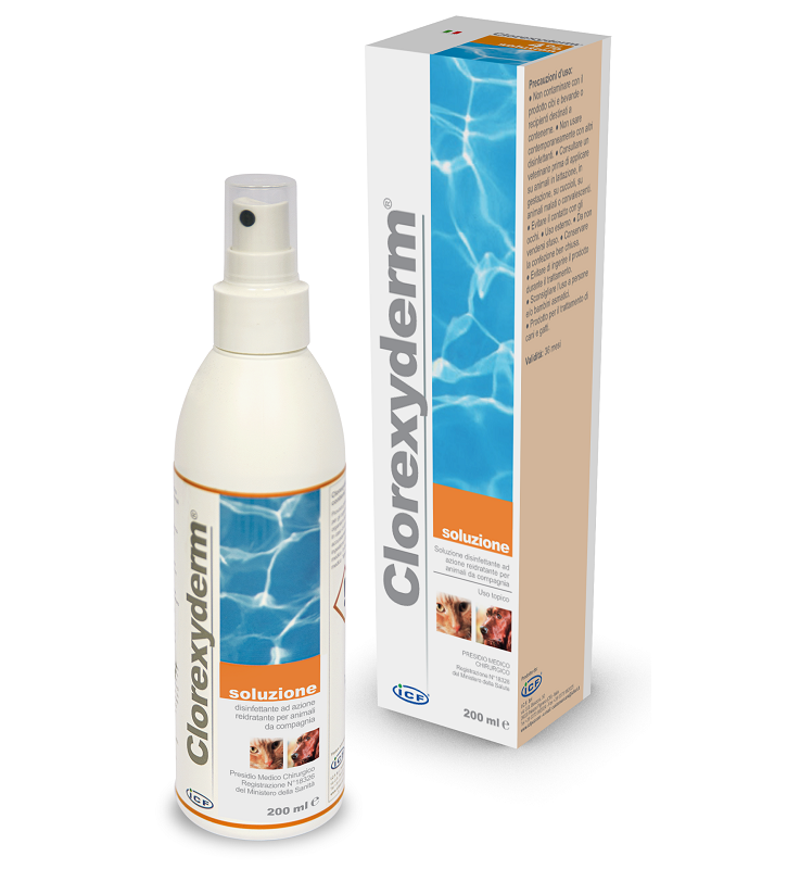 CLOREXYDERM Soluz 200ml