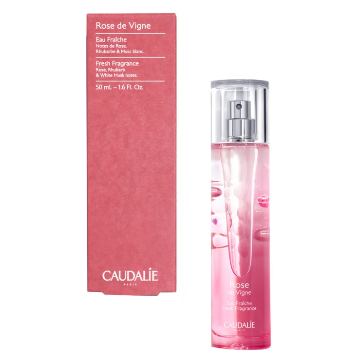 ROSE DE VIGNE ACQUA FRESCA 50 ML 2022 ROSE DE VIGNE ACQUA FRESCA 50 ML 2022