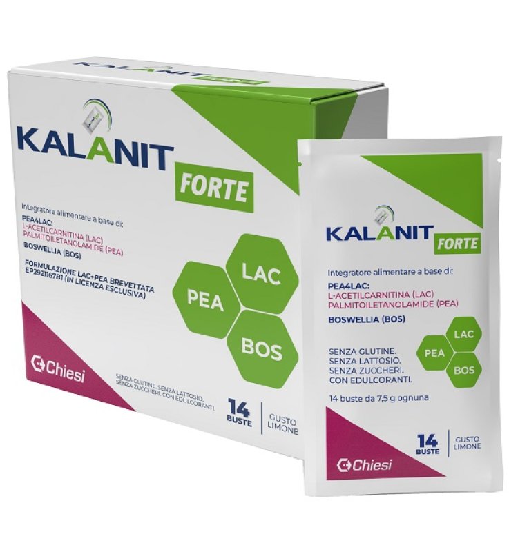 KALANIT FORTE 14 BUSTINE