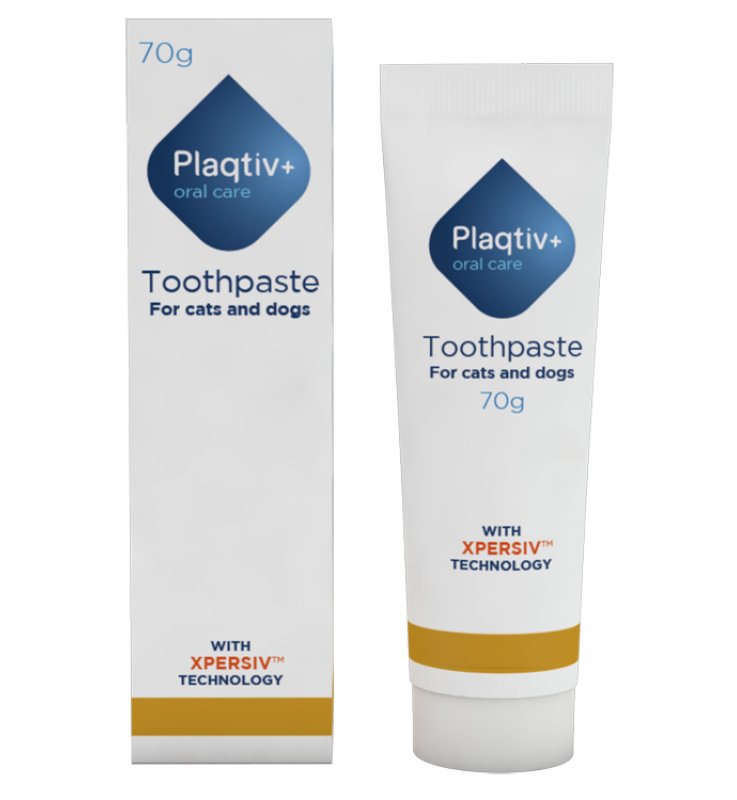 PLAQTIV+Oral Care Dent.70g PLAQTIV+Oral Care Dent.70g