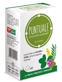 PUNTUALE 60CPR